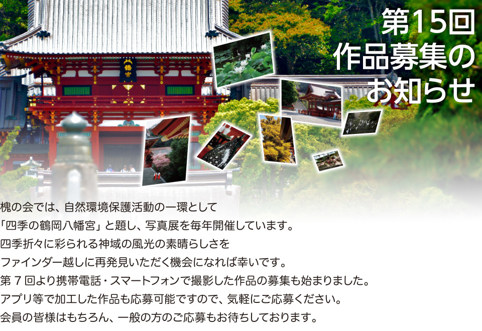 第１０回 四季の鶴岡八幡宮および周辺観光情報